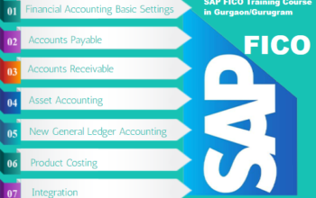 SAP FICO Certification in Delhi, Preet Vihar,