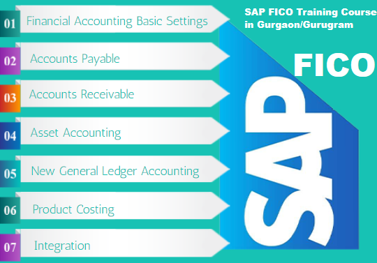 SAP FICO Certification in Delhi, Preet Vihar,