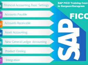 SAP FICO Course in Delhi, SLA Finance Institute,